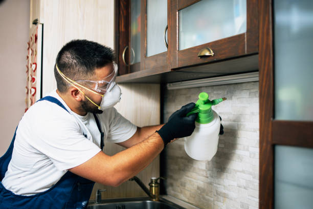 Best Wildlife Control Services  in Woody, WA
