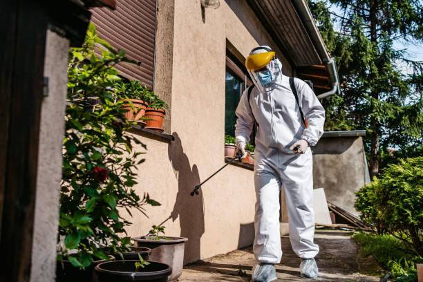 Best Bird Control  in Woody, WA