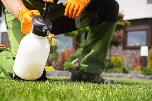 Best Residential Pest Control  in Woody, WA