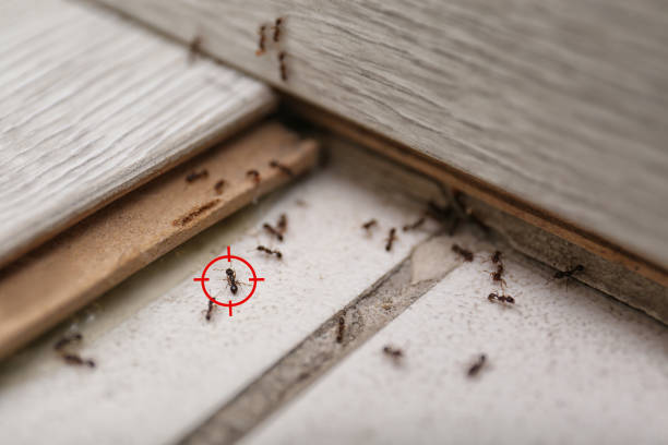 Best Wildlife Control Services  in Woody, WA
