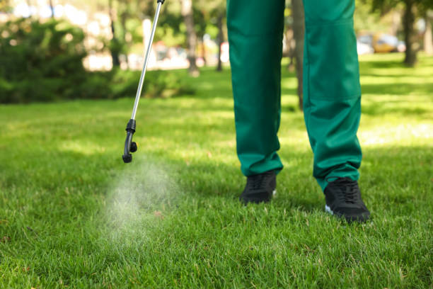 Flea Control Services in Woodway, WA