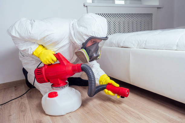 Best Flea Control Services  in Woody, WA