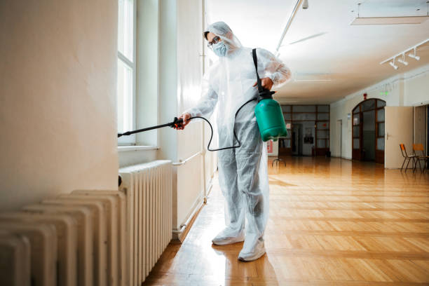 Best Local Pest Control Services  in Woody, WA