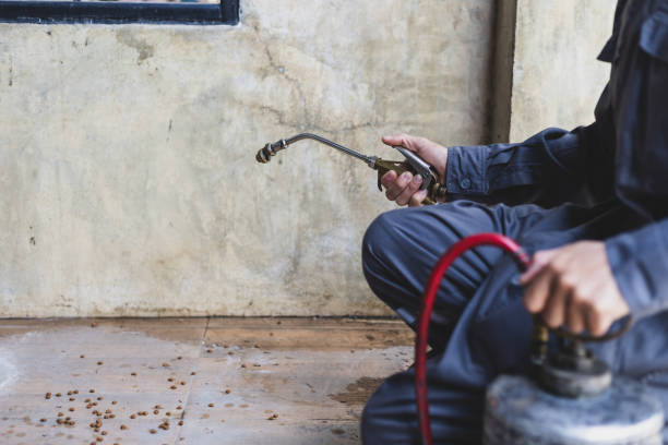 Best Flea Control Services  in Woody, WA